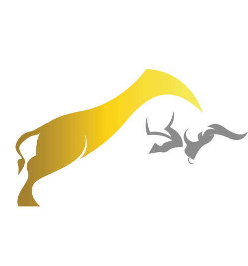 Accenture Investment Group